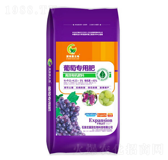 ьøЧЙC(j)-Gɭr(nng)I(y)