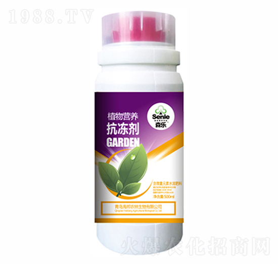 ֲI(yng)B(yng)-ɭ(l)-r(nng)