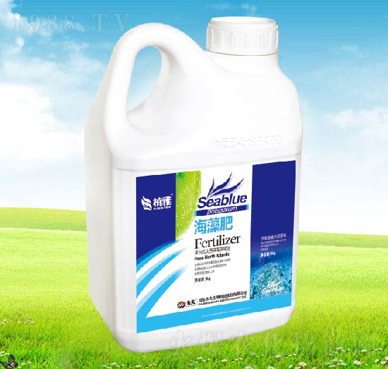 �����-������