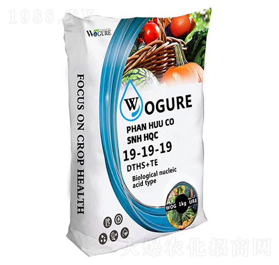 ʹԪˮܷ19-19-19+DTHS+ME-ָ