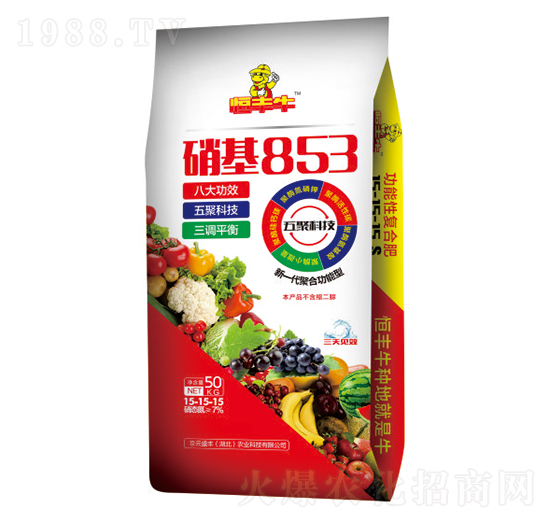 853ܷ15-15-15-Sţ-Pd