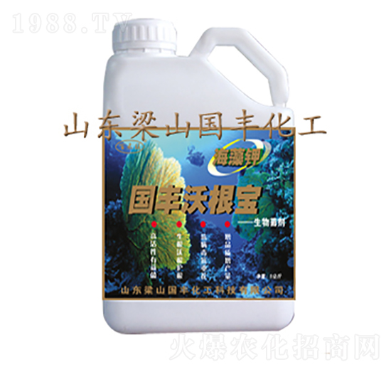 5kg(gu)Sָ-(gu)SʘI(y)