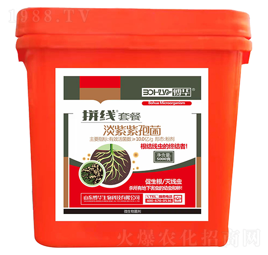 ߾-ƴ(xin)ײ-nr(nng)