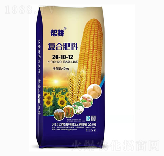 ͺϷ26-10-12-͸ʘI(y)