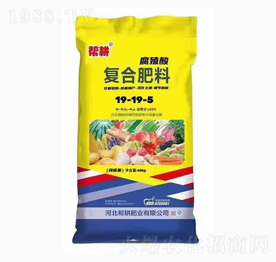 (f)Ϸ19-19-5-͸ʘI(y)