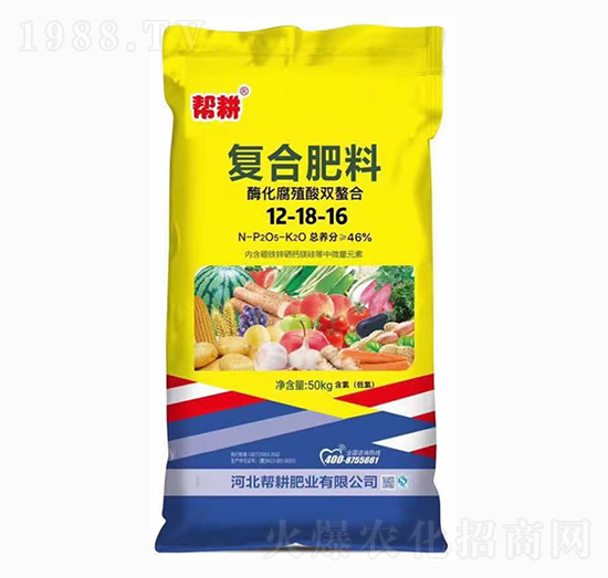 ͺϷ12-18-16-͸ʘI(y)