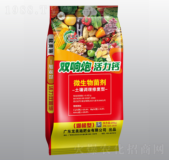 {(dio)ޏ(f)΢-pڻ}-ʩ