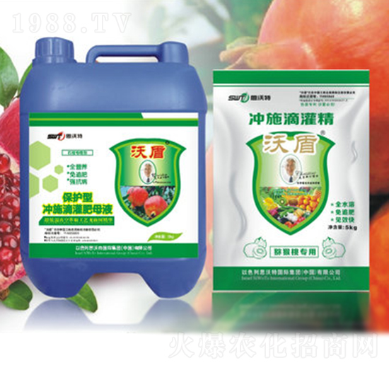 ʯ(zhun)ˮԛ_ʩι-ֶr(nng)I(y)