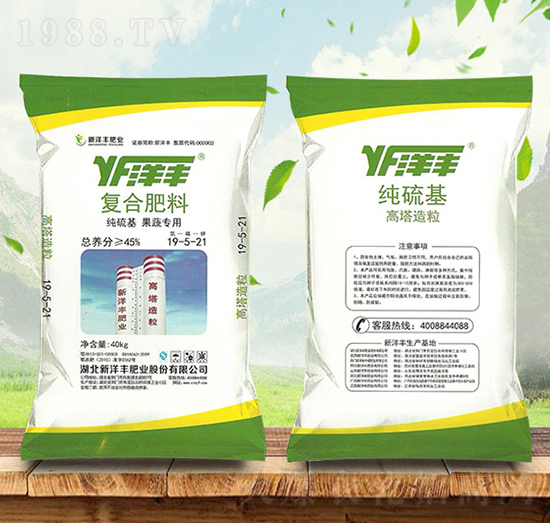 ߌüͺϷ19-5-21S-r(nng)Y