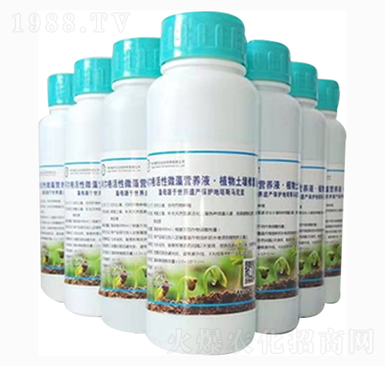 Сˮ΢IB(yng)ҺҺ-