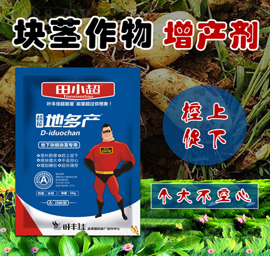 KKoóܵضa(chn)-С-r(nng)¶