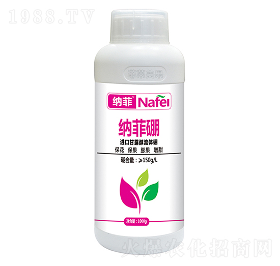 M(jn)ڸ¶w-{-ְʘI(y)