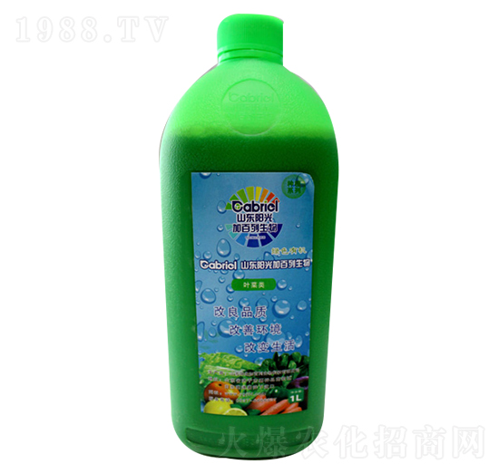 ~(li)(zhun)÷-(yng)Ӱ