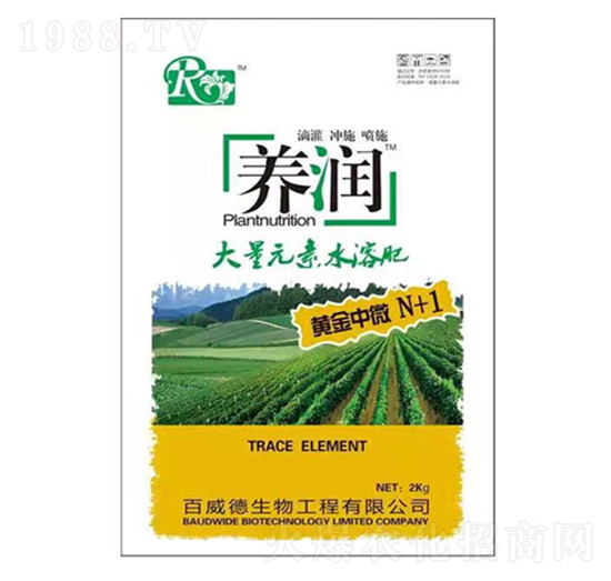 Ԫˮ-B(yng)(rn)S΢N+1-