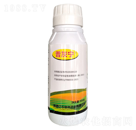 500gù-ջҌ-|r(nng)߿