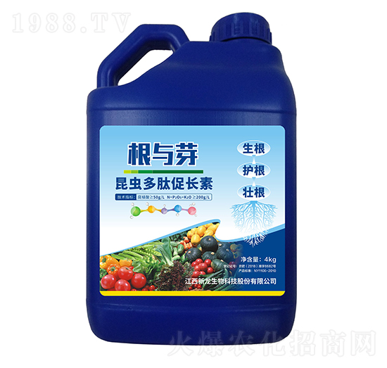 x(chng)ĴL(zhng)-cѿ-