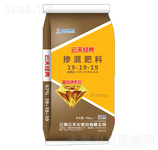 w⛓19-19-19-콛(jng)-o(j)