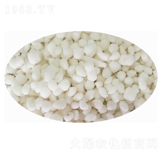 Ȼ@ɫ{(ln)ɫ-SƼ