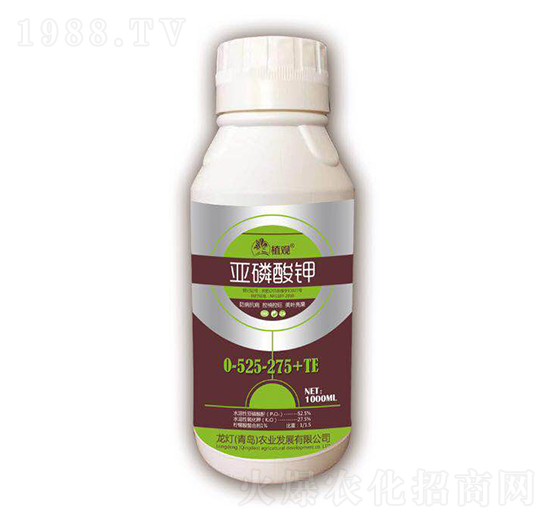 0-525-275+TE-ֲ^-r(nng)I(y)