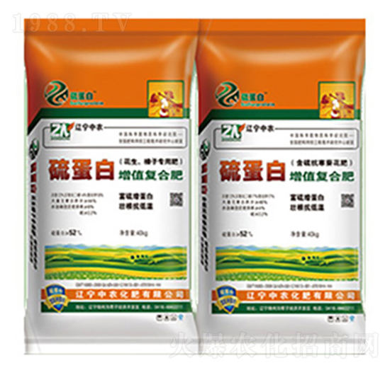 򵰰|(zh)(f)Ϸ-r(nng)