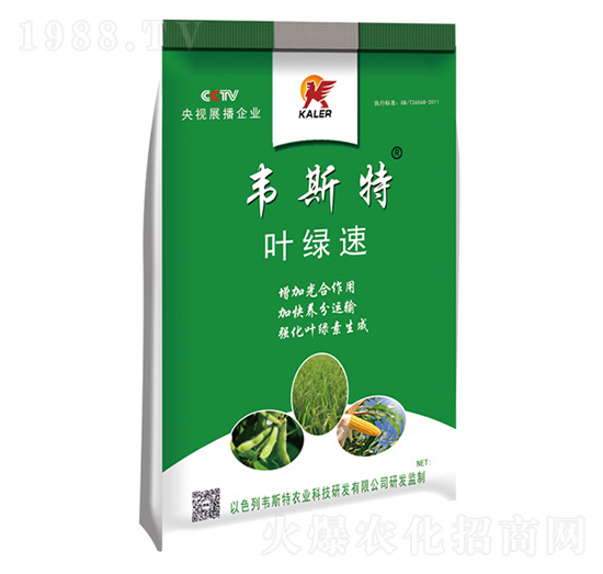 ~G-f˹-(l)r(nng)I(y)