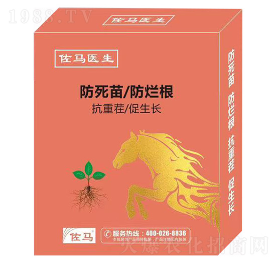 ڲμg(sh)-Rt(y)-嫪{