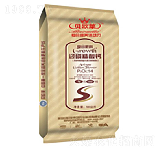 ^׾}(f)Ϸ14-15-16-ؐWR