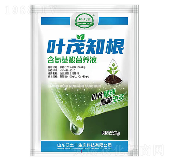 IB(yng)Һ-~ï֪-SB(ti)