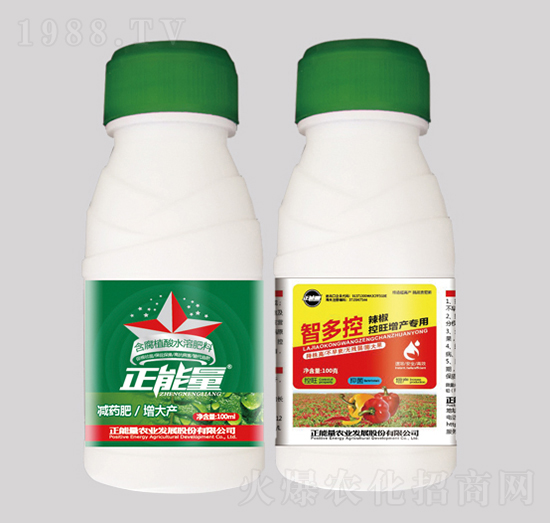 a(chn)(zhun)÷ʣƿ-Ƕ-