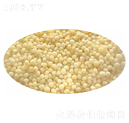 (f)ϷʣS-(gu)r(nng)r(nng)I(y)