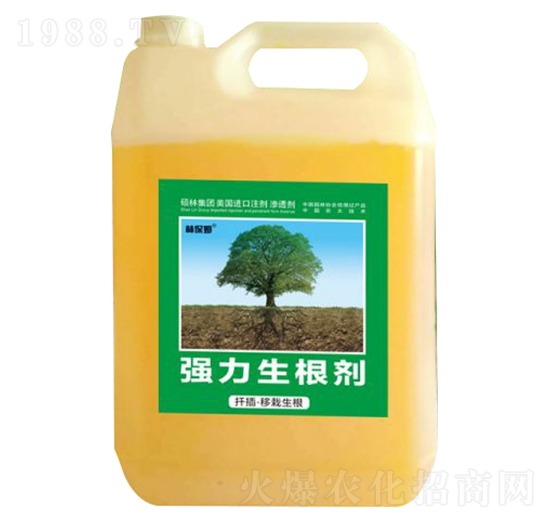 Ǥ塤(qing)-ֱķ-Tַ