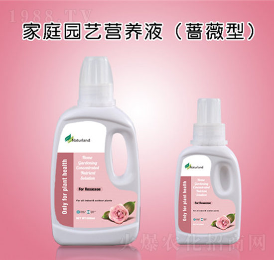 ͥ@ˇIB(yng)ҺNޱͣ-{