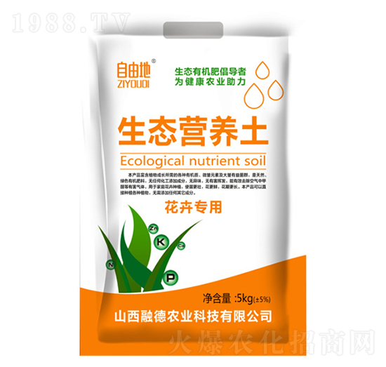 ܌(zhun)B(ti)I(yng)B(yng)-ɵ-ڵr(nng)I(y)