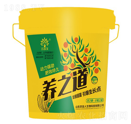 B(yng)֮ȫˮܷ--r(nng)ʥ