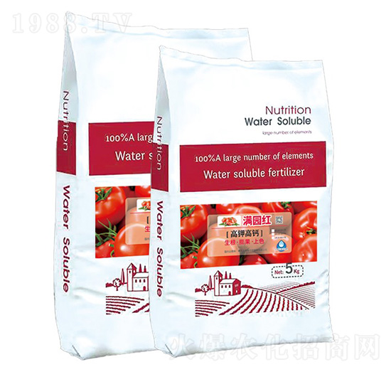 ⛸}ˮܷ-M(mn)@t--r(nng)ʥ