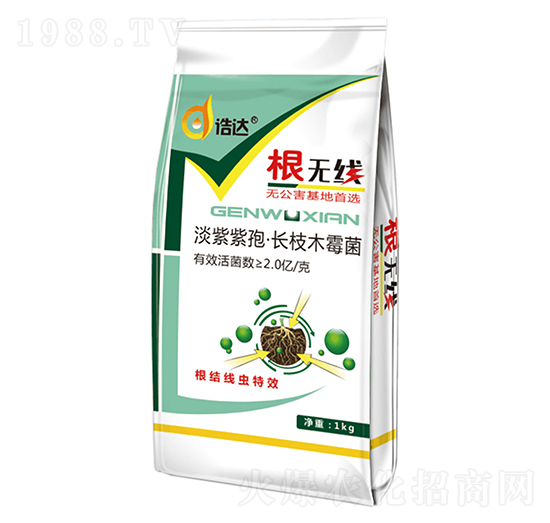 ߡL(zhng)ľù-o-_(d)