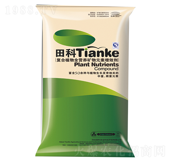 ͺֲȫIB(yng)VԪЧ-rI(y)