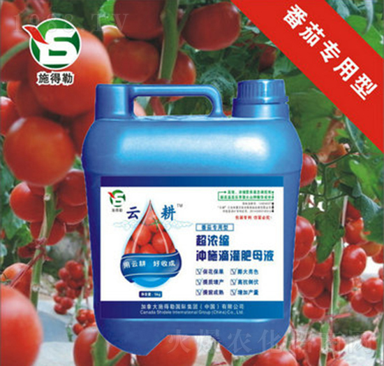 ь(zhun)Û_ʩ-ʩ-Ƹr(nng)I(y)