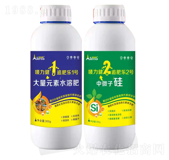 ׷ʌ-O1+2-׷ʘ1̖(ho)+2̖(ho)-