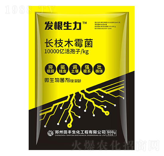 L(zhng)֦ľù-l(f)-۟o(w)