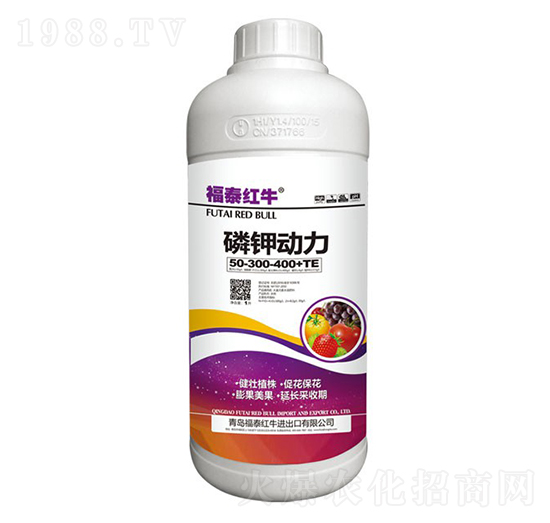 ⛄(dng)50-300-400+TE-̩tţ