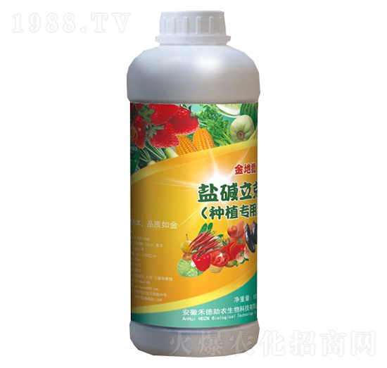 }AˣNֲ(zhun)ã-΢-̵r(nng)