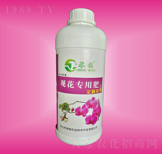 ^(zhun)÷-r(nng)I(y)