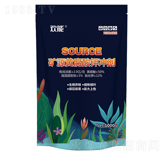 VԴS⛛_-g-|r(nng)_(d)r(nng)I(y)