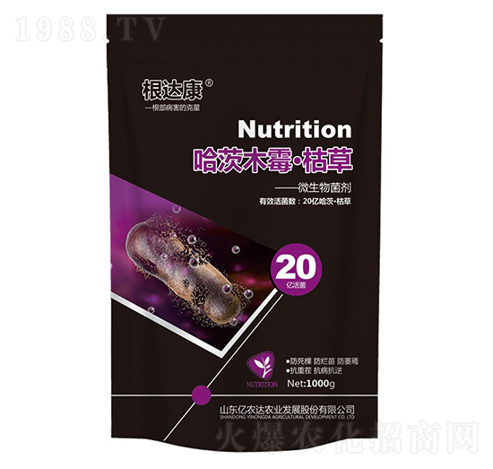 ľùݲ-_(d)-|r(nng)_(d)r(nng)I(y)