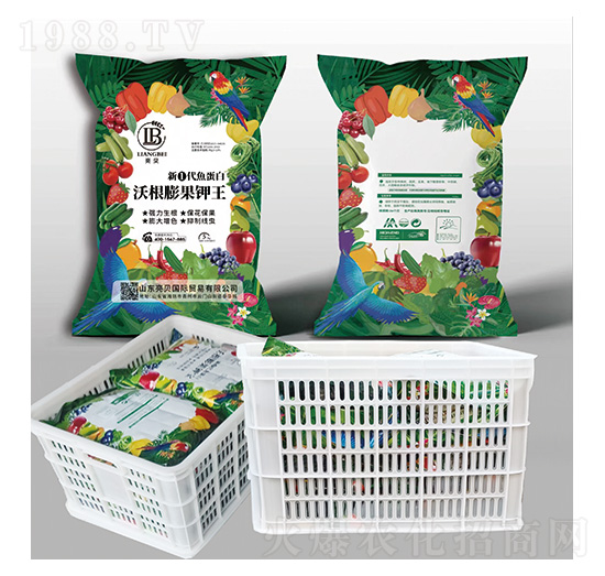 ¢ٴ~(y)ָ䣩-ؐ-ﲩʿ