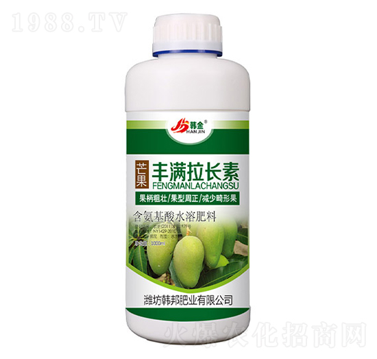 âSM(mn)L(zhng)-n-nʘI(y)