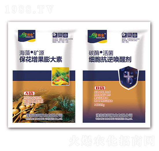 -(x)憾ф-n-nʘI(y)