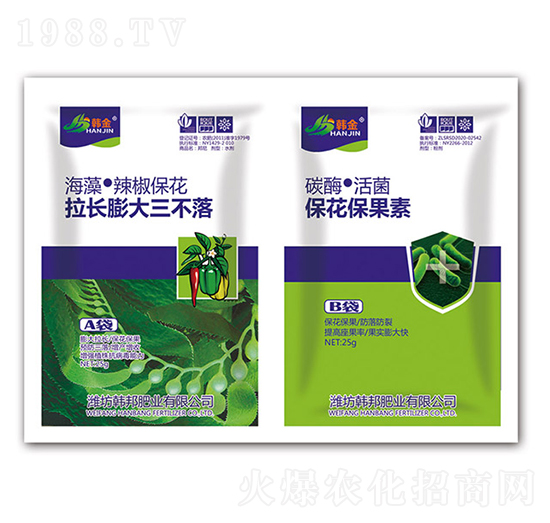 L(zhng)+-n-nʘI(y)