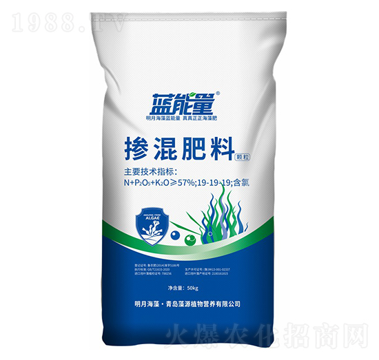 w19-19-19-{(ln)-Դֲ